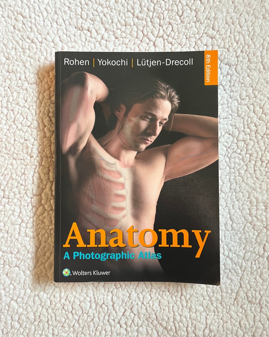 Anatomy