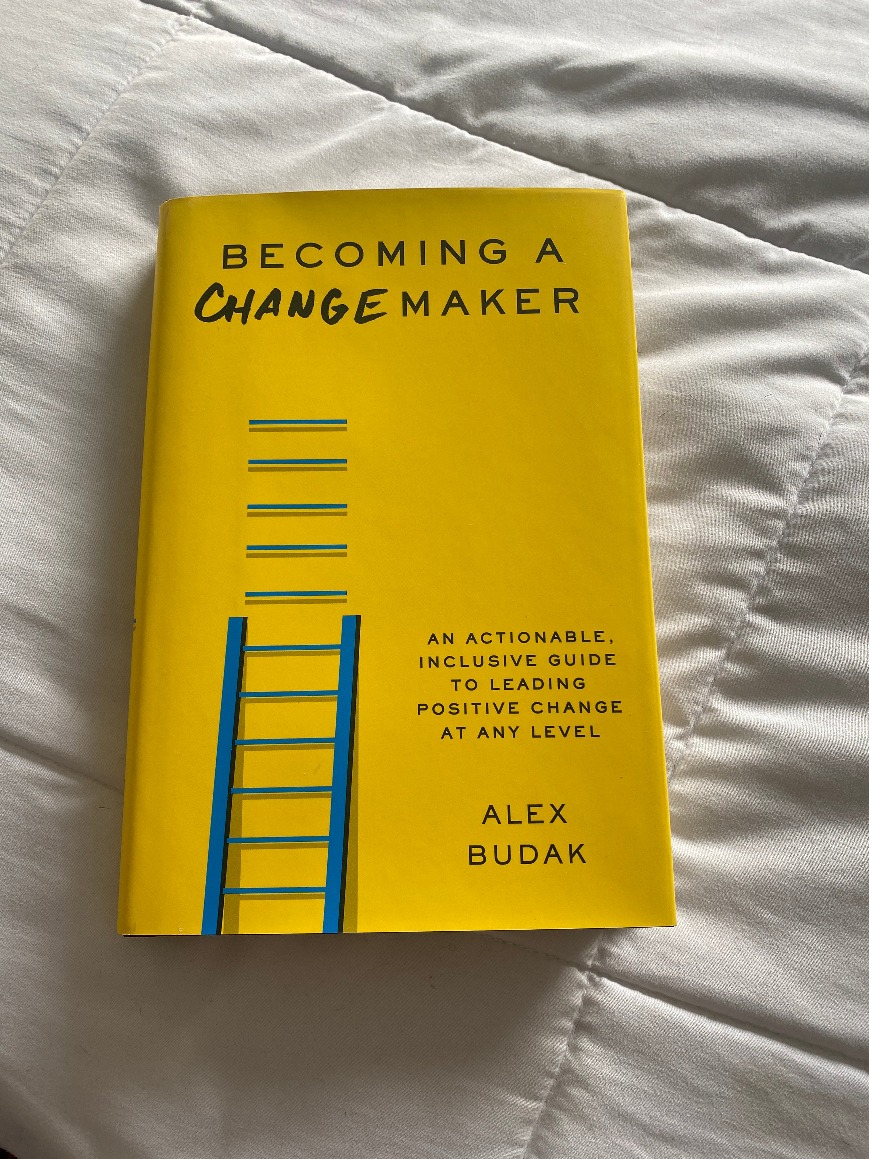 Becoming a Changemaker