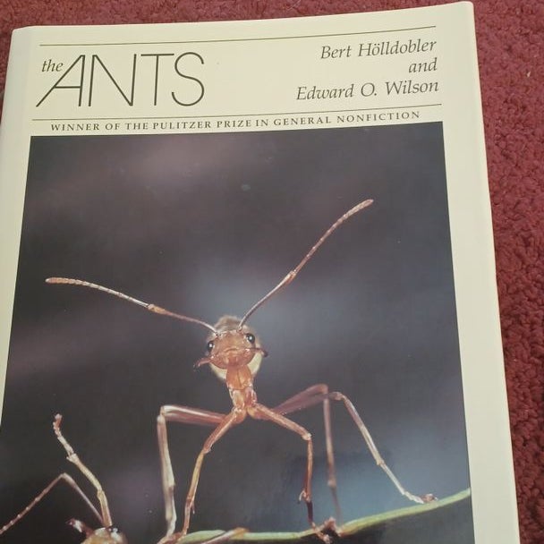 The Ants