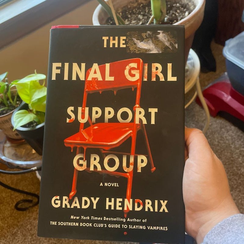 The Final Girl Support Group