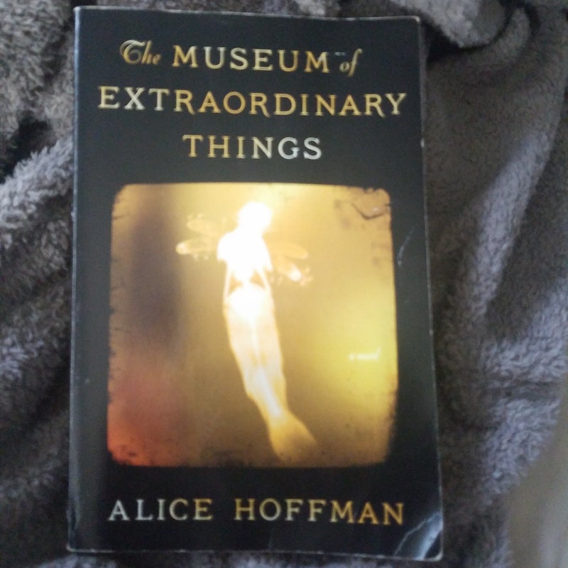 The Museum of Extraordinary Things