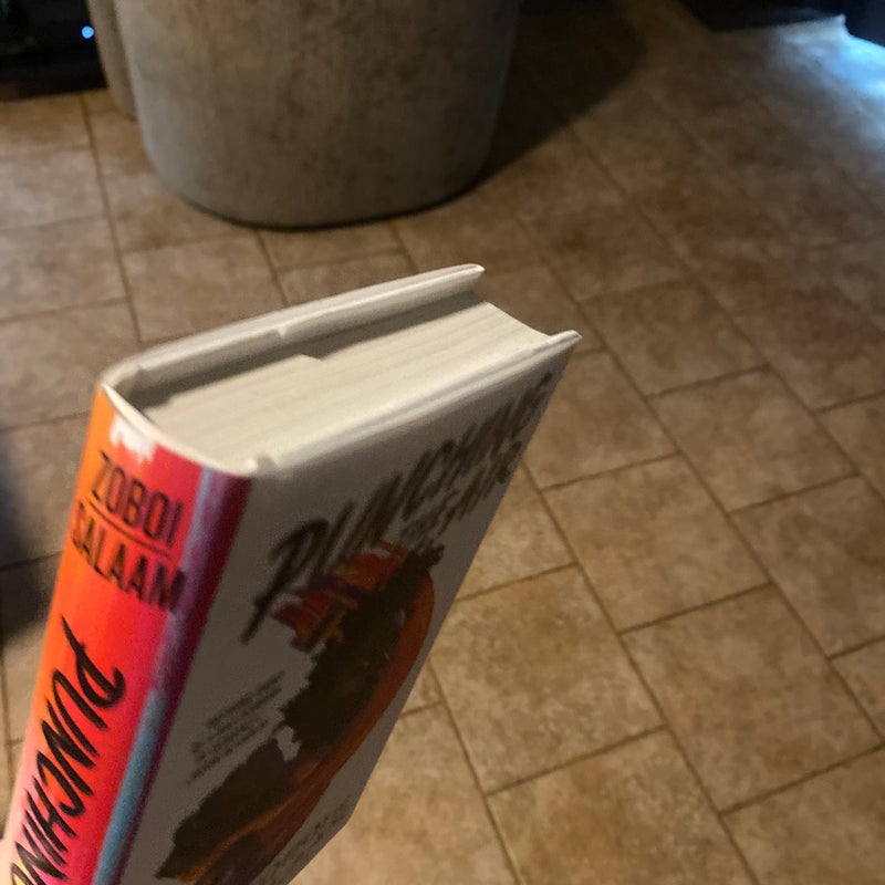 Punching the Air