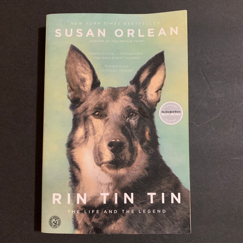 Rin Tin Tin