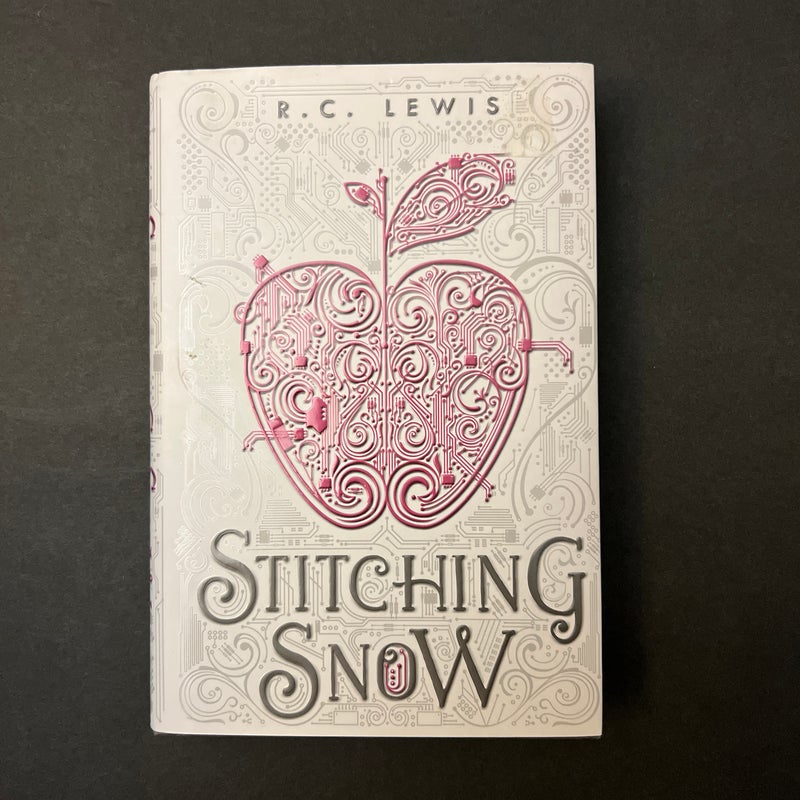 Stitching Snow