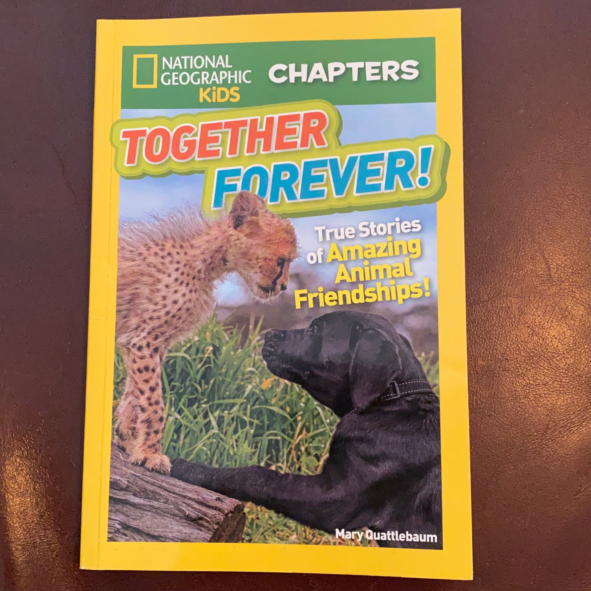 National Geographic Kids Chapters: Together Forever