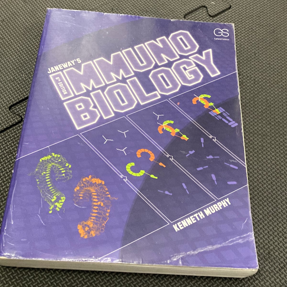 Janeway's Immunobiology by Kenneth M. Murphy, Paul Travers, Mark