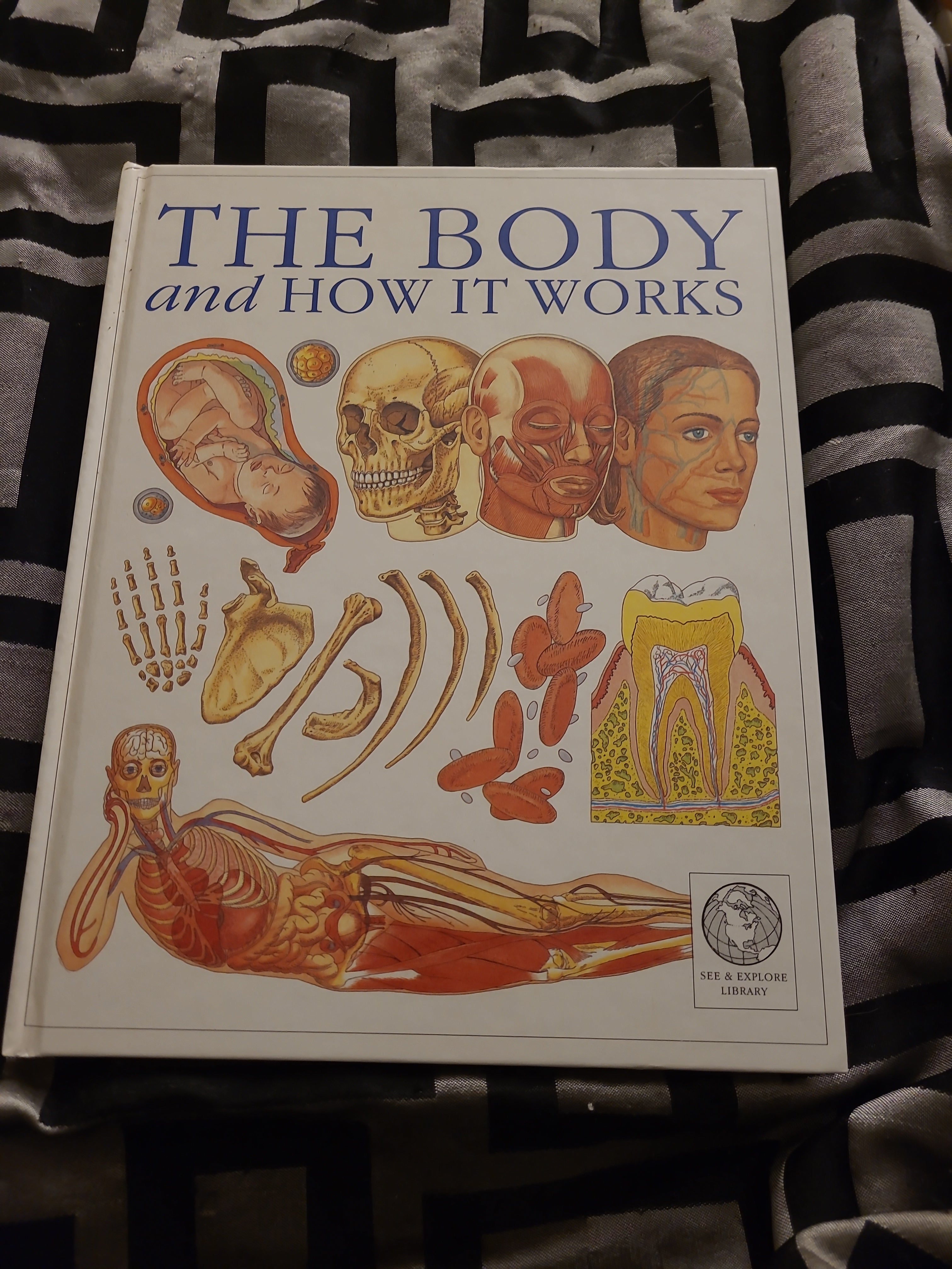 The Body and How It Works