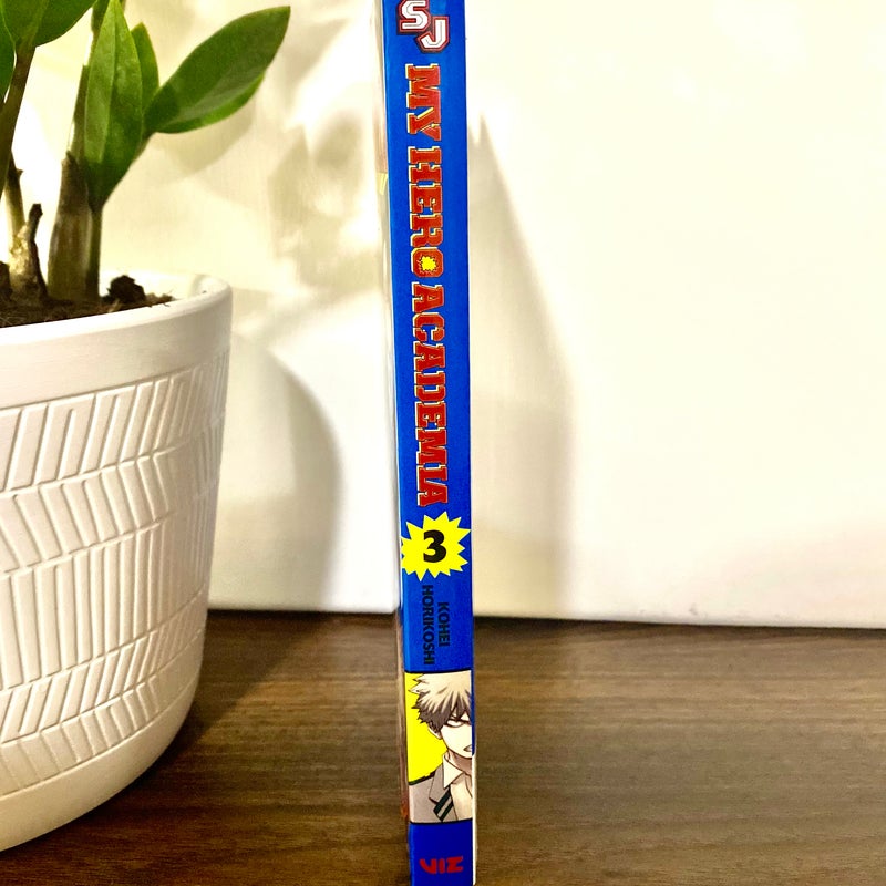 My Hero Academia, Vol. 3