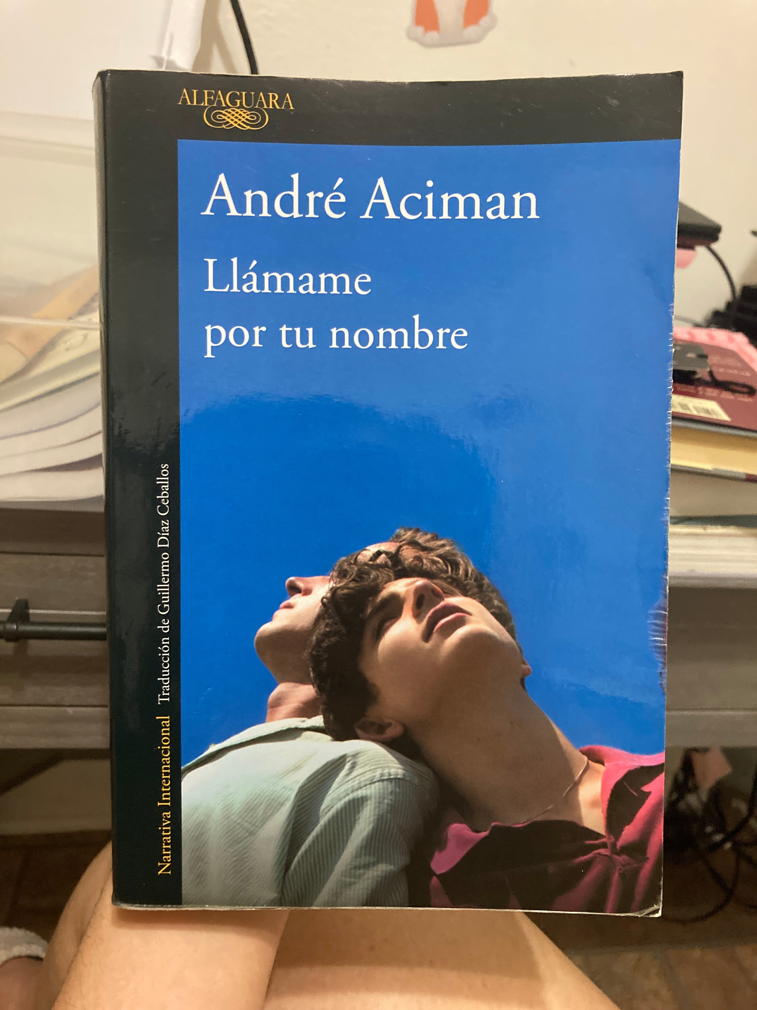 Llámame Por Tu Nombre / Call Me by Your Name