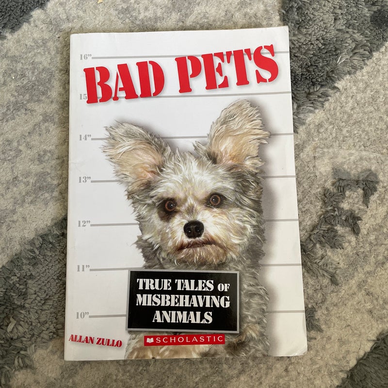 Bad Pets