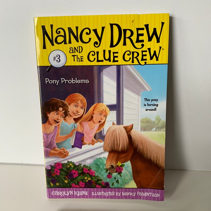 Nancy Drew and the Clue Crew Lot of 2