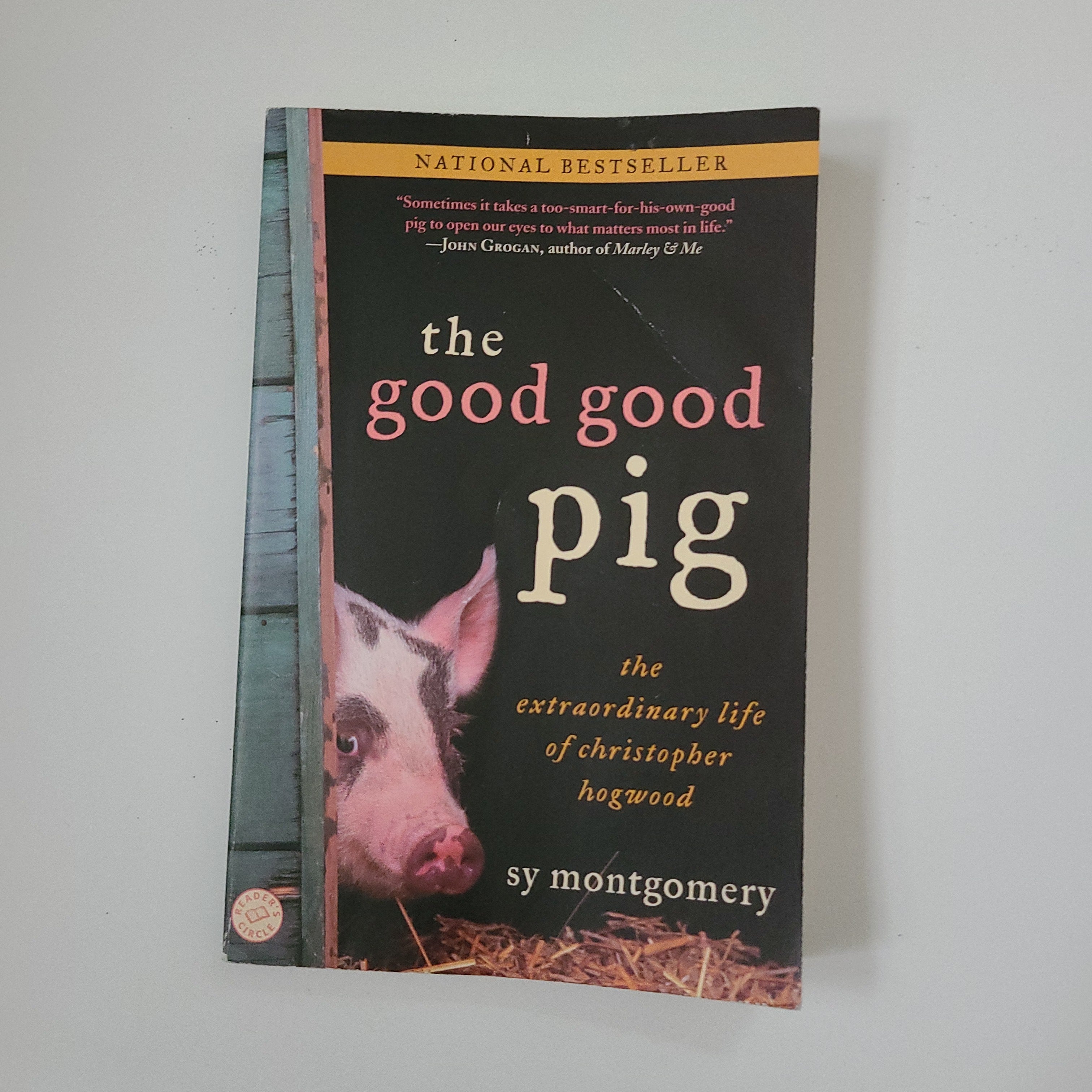 The Good Good Pig