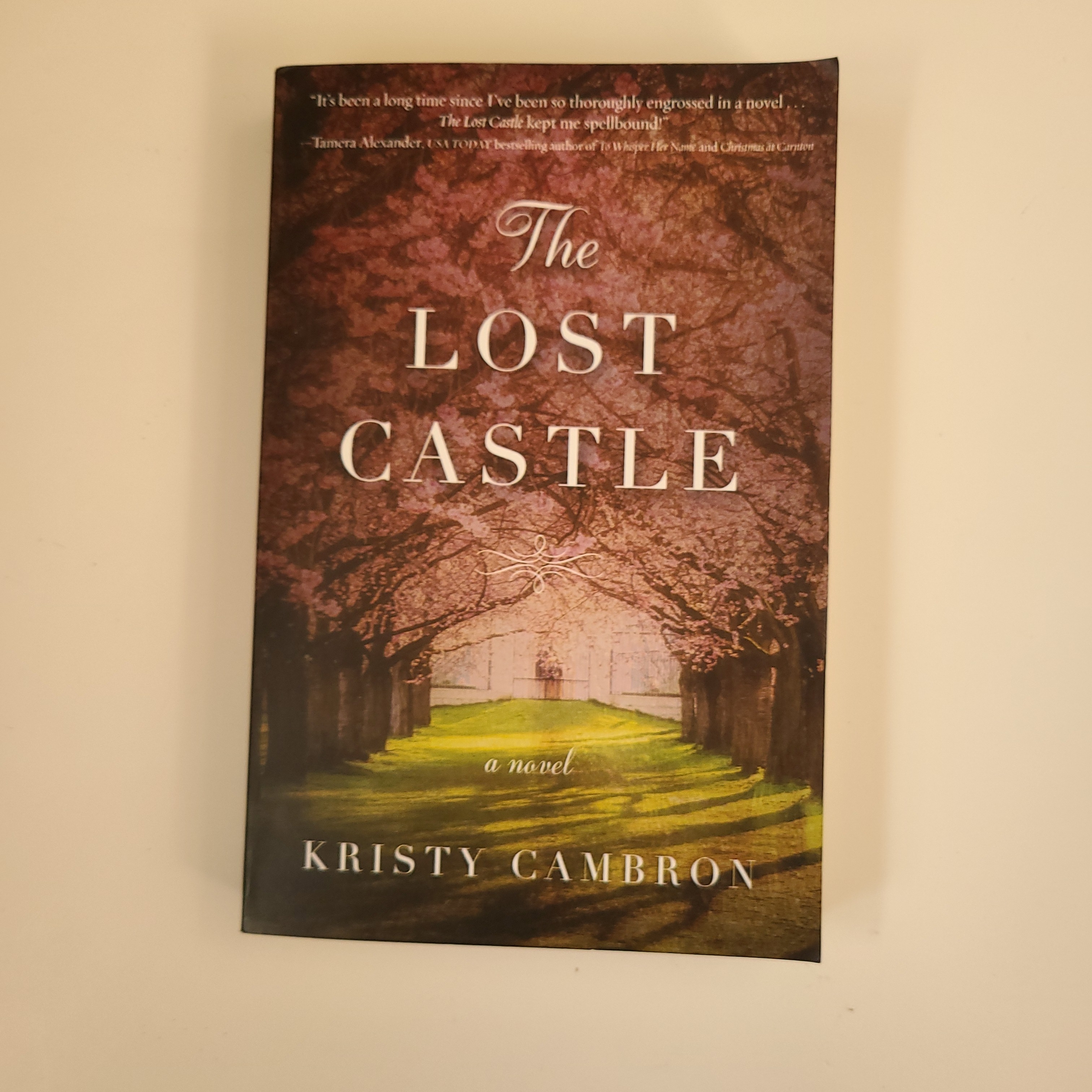 The Lost Castle by Kristy Cambron Pricing Data