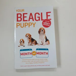 Your Beagle Puppy Month by Month