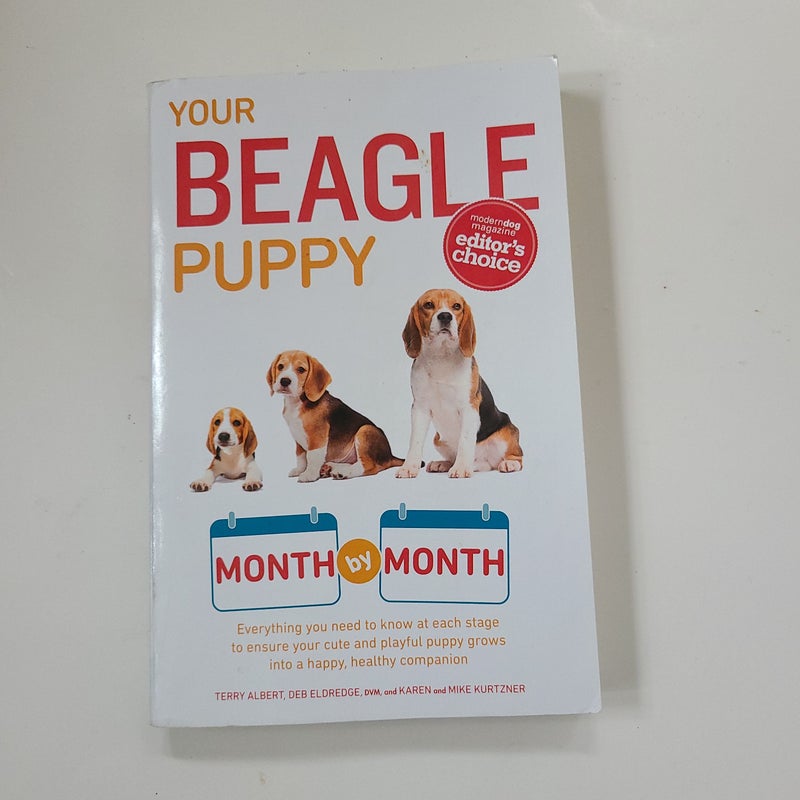 Your Beagle Puppy Month by Month