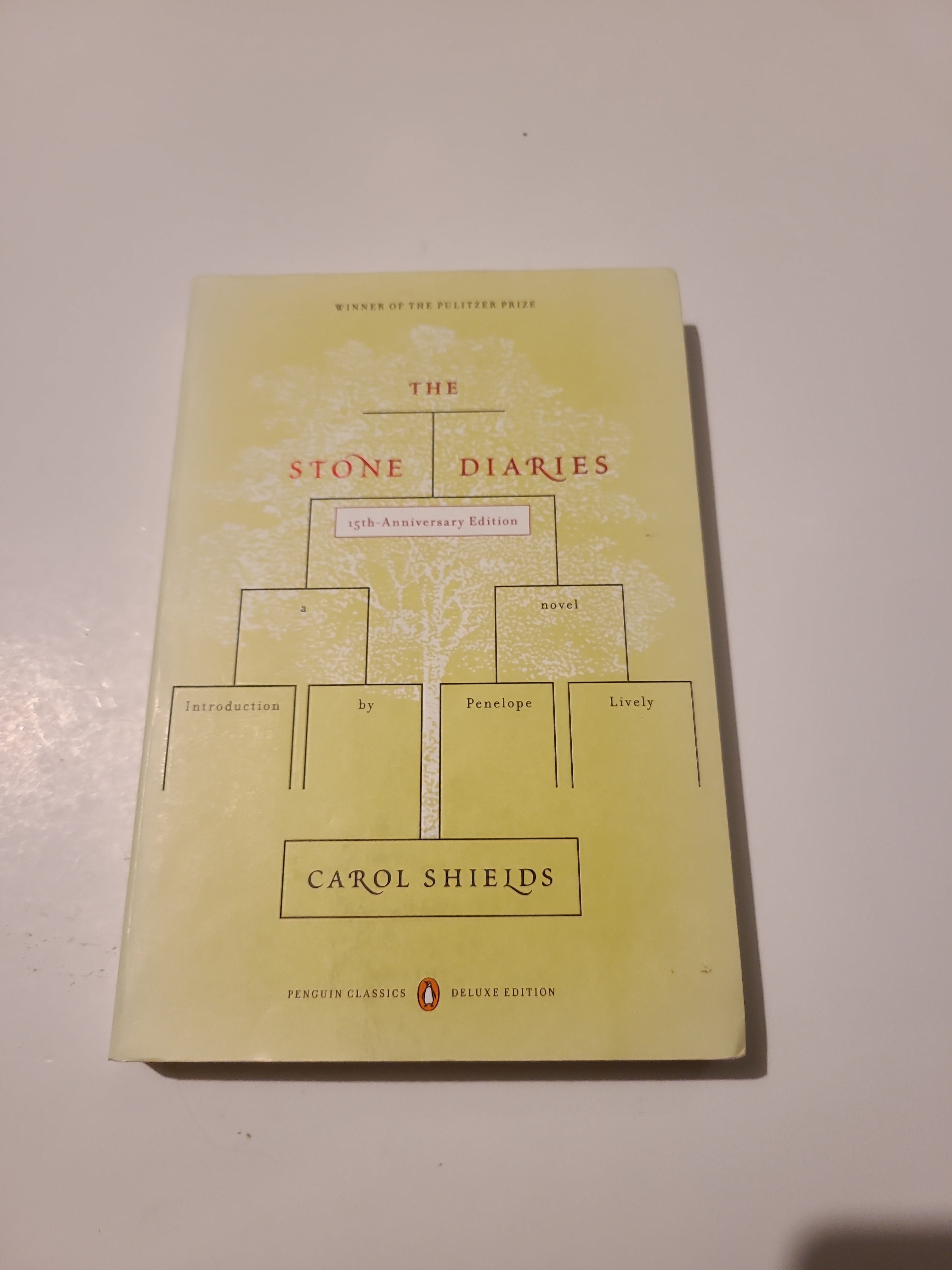 The Stone Diaries