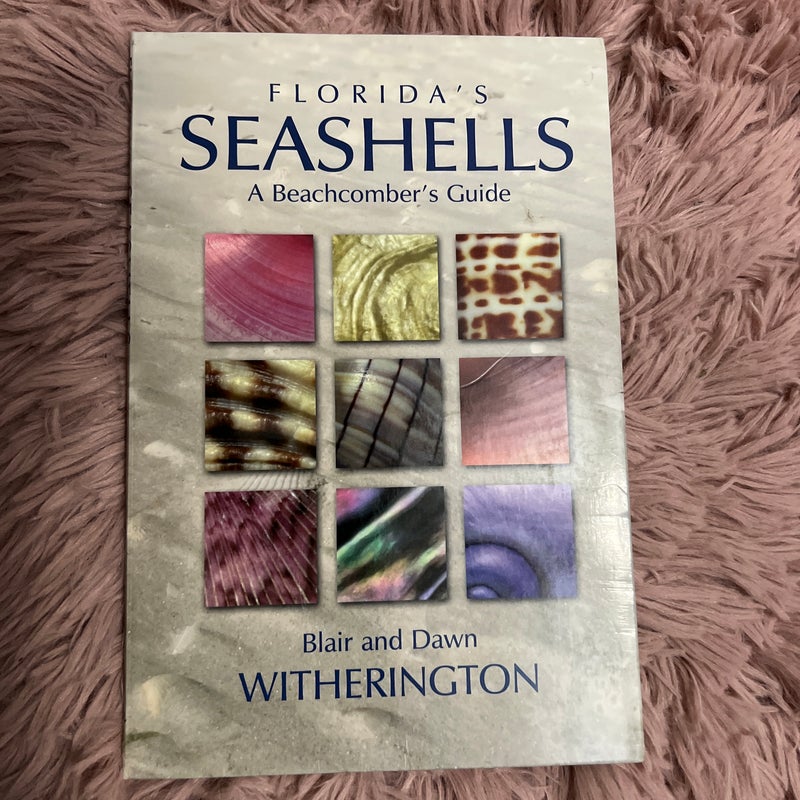 Florida's Seashells