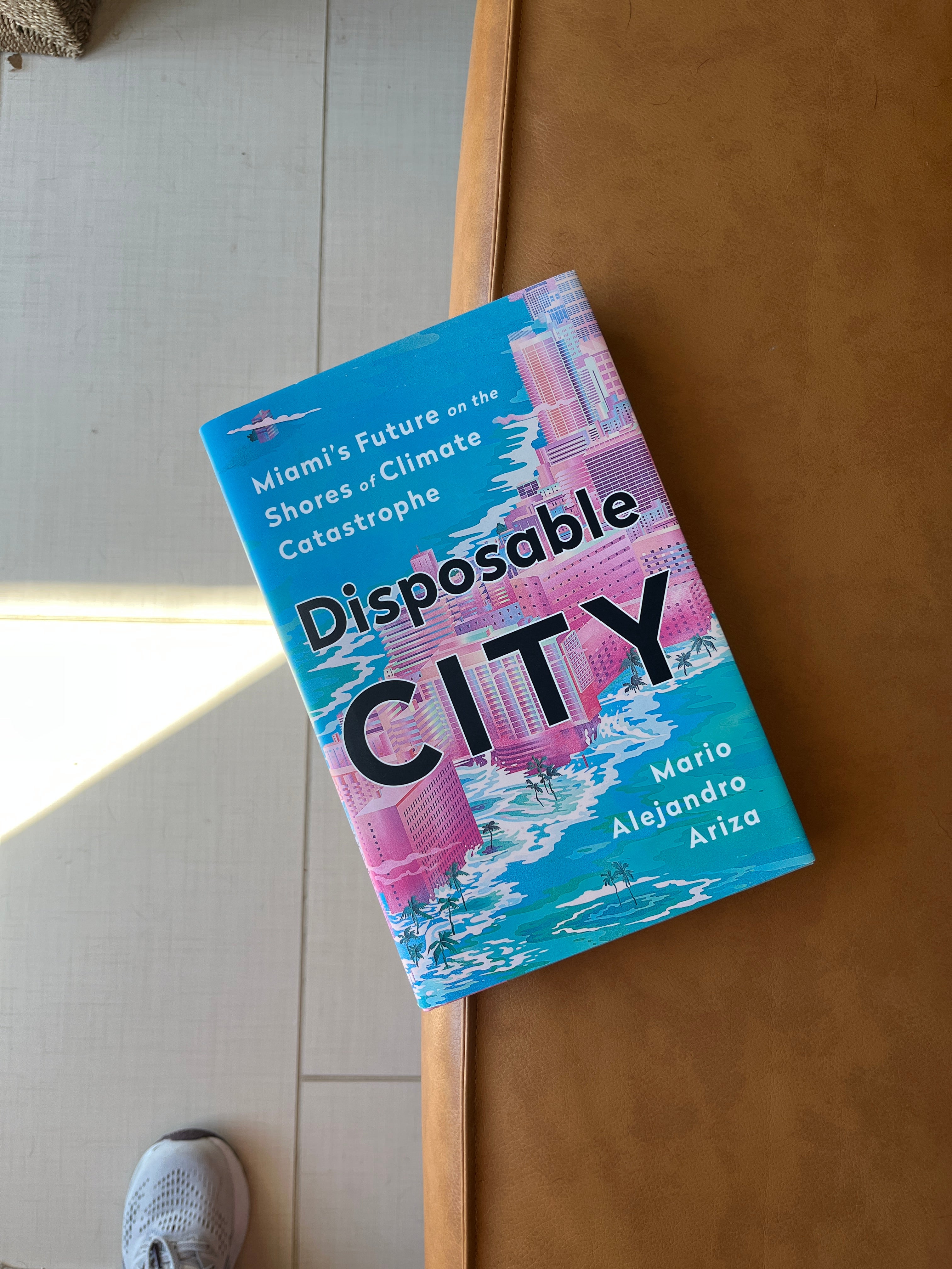 Disposable City