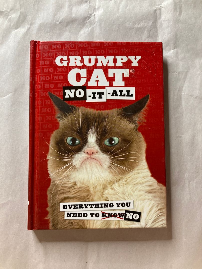 Grumpy Cat: No-It-All