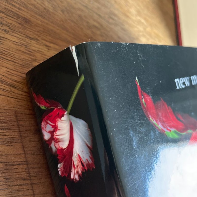 Twilight Series book set