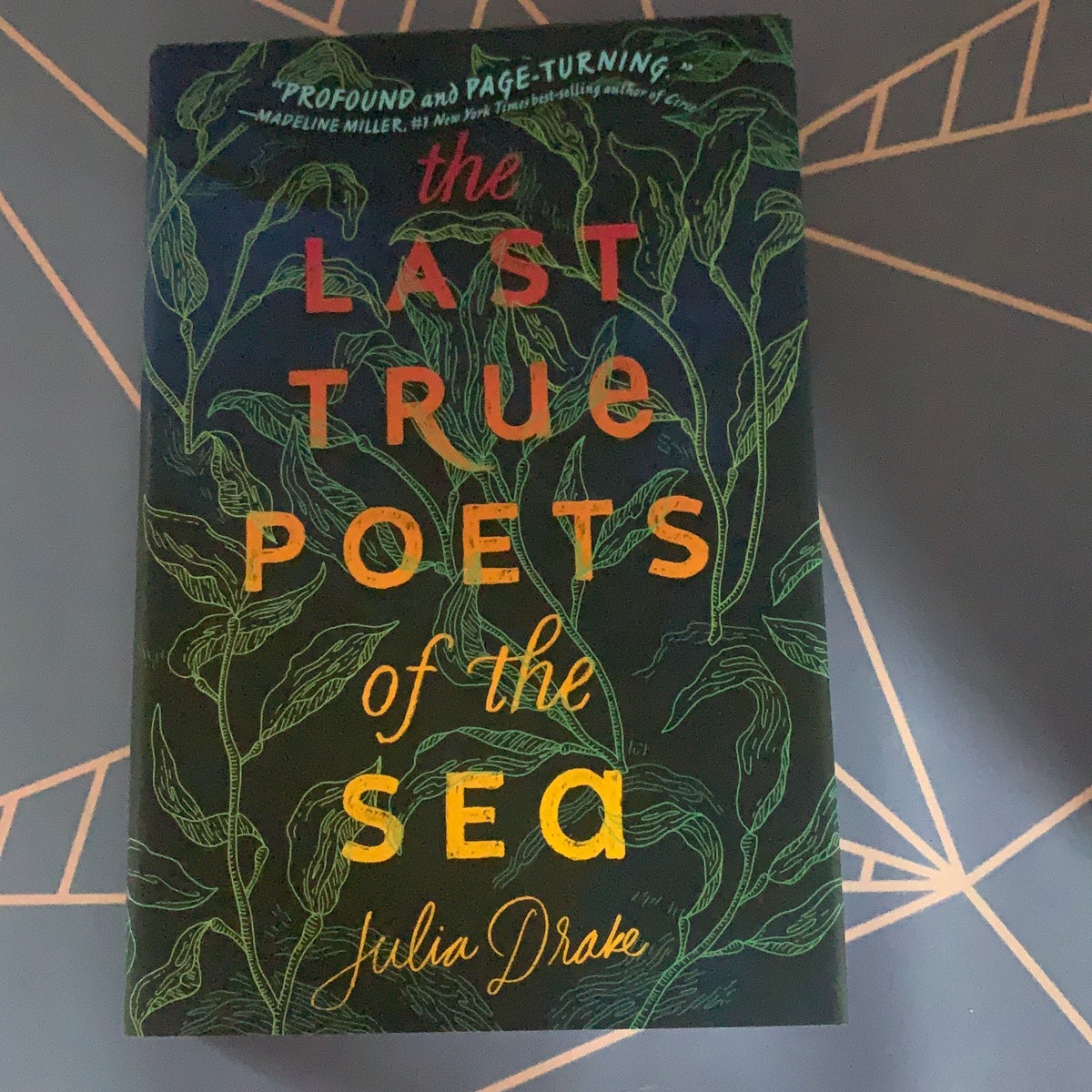 The Last True Poets of the Sea by Julia Drake, Hardcover | Pangobooks