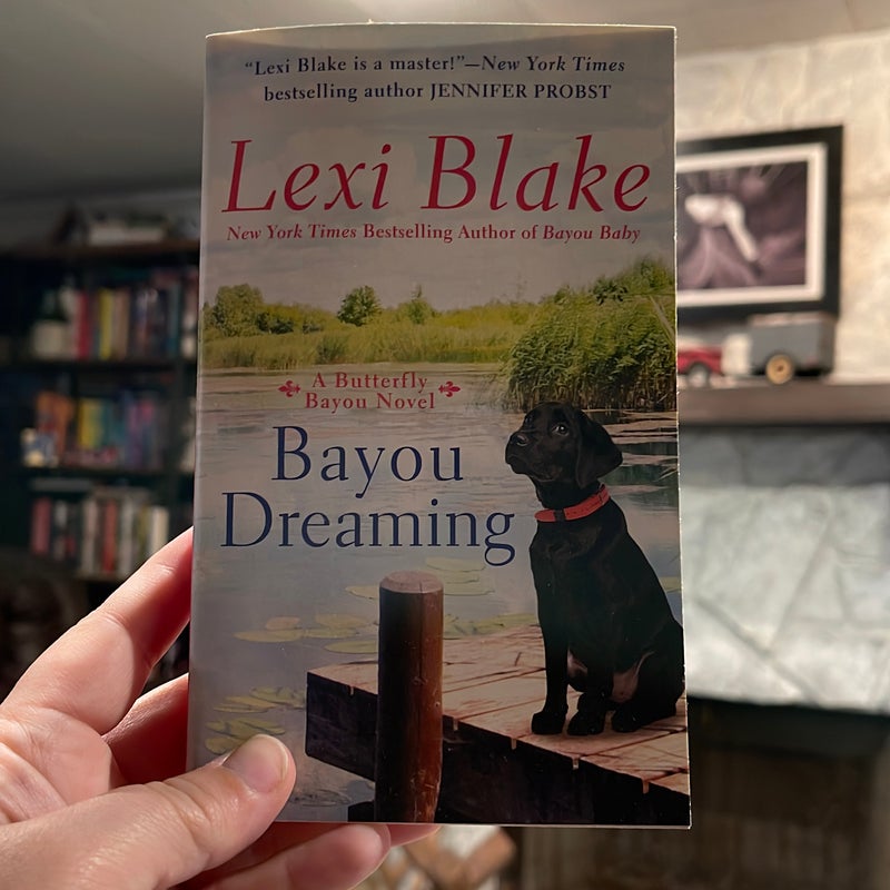 Bayou Dreaming