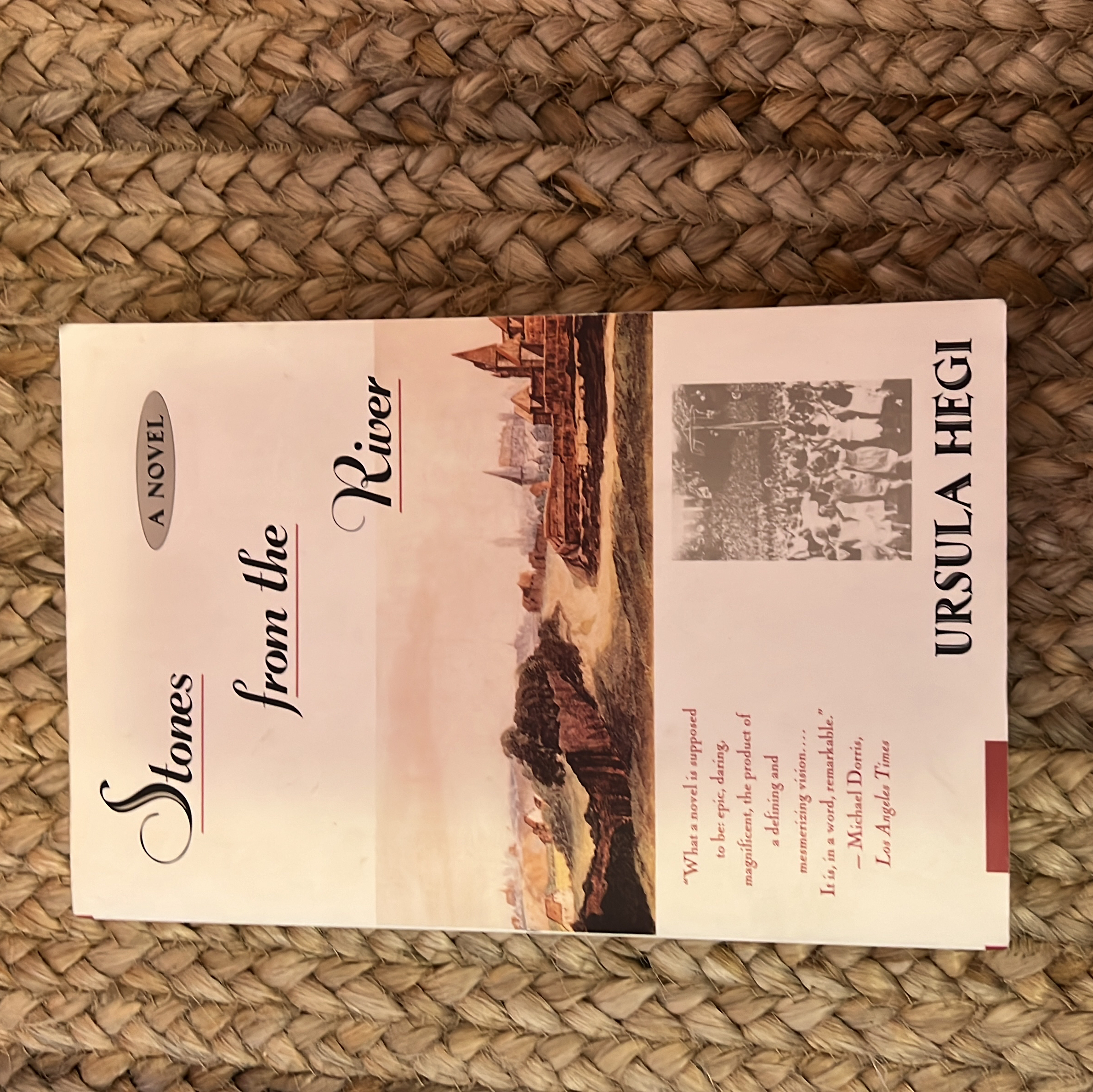 Stones from the River