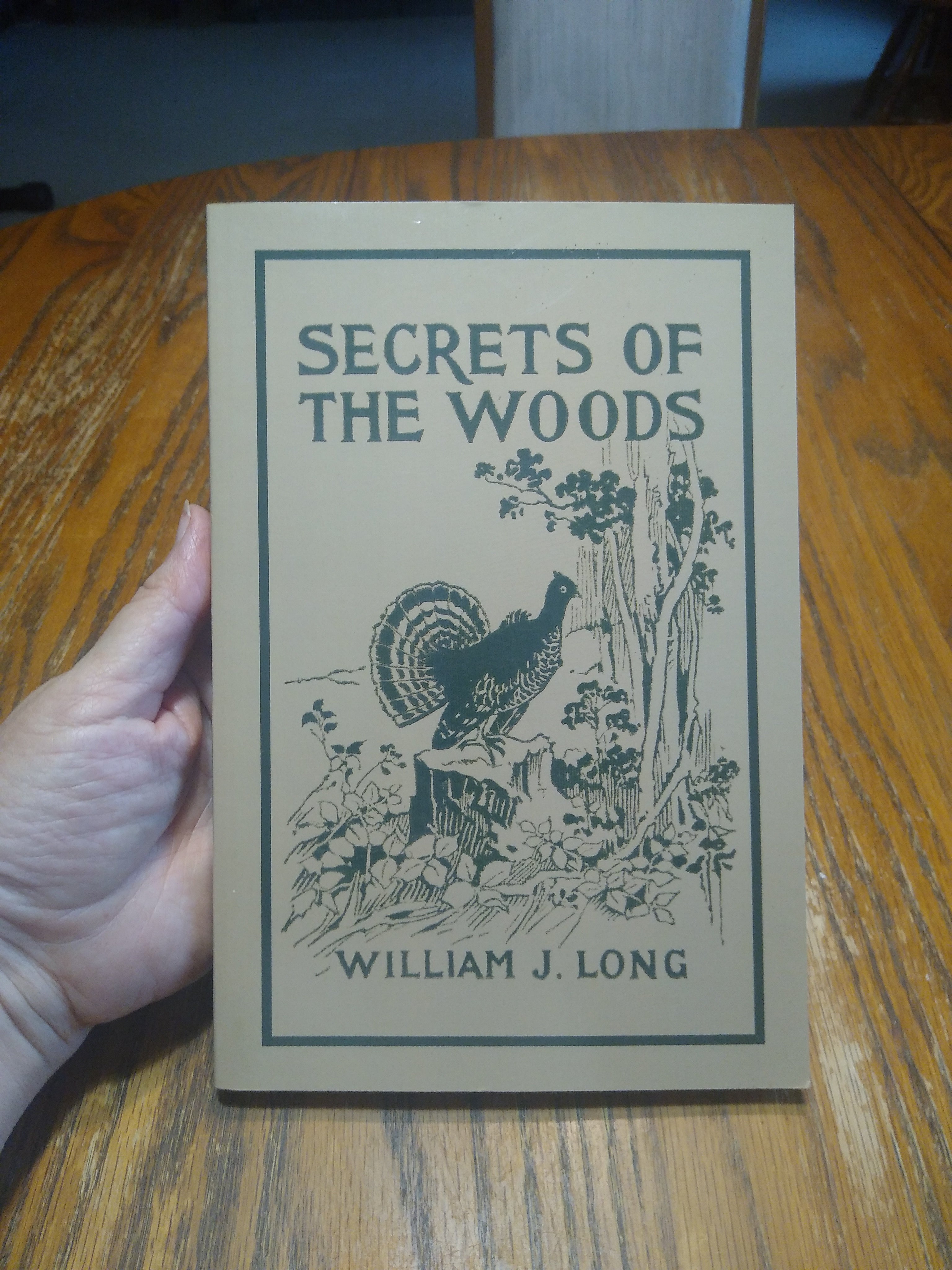 Secrets of the Woods (Yesterday's Classics)