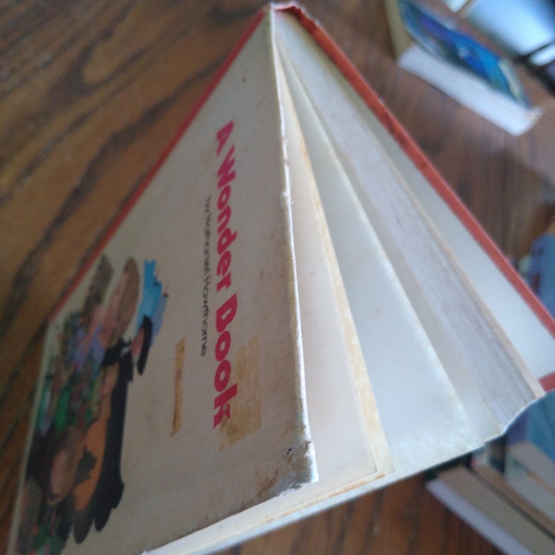 A Wonder Book (vintage)