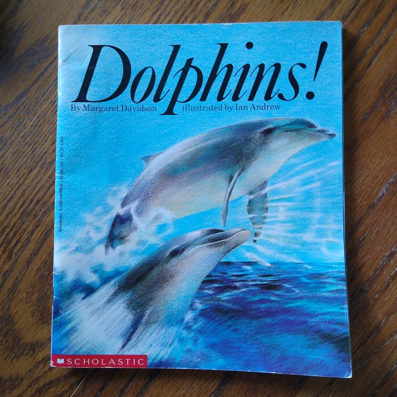 📚 Dolphins! and Seashores (2)