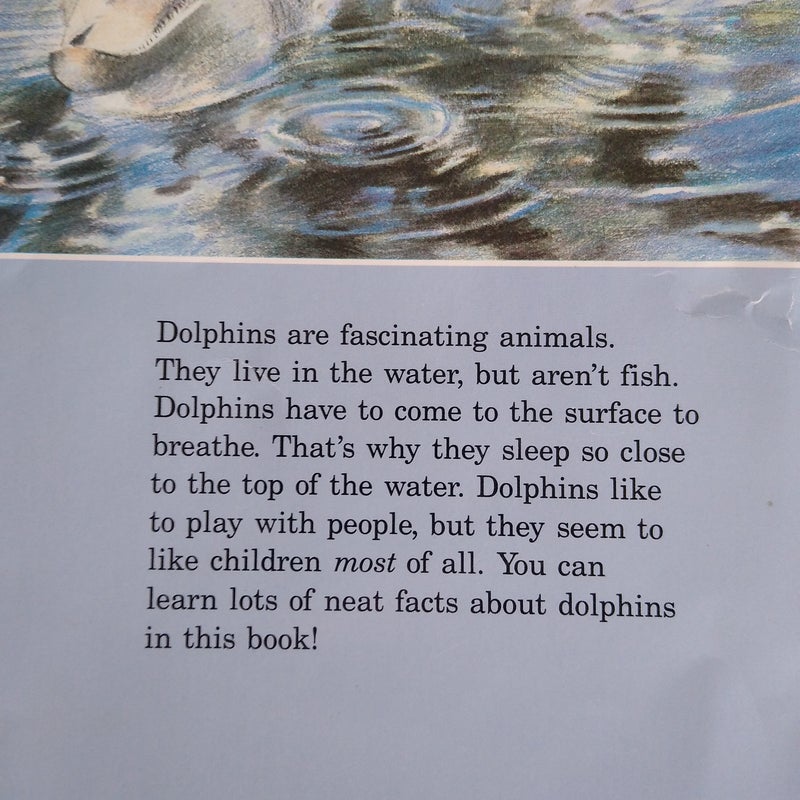 📚 Dolphins! and Seashores (2)