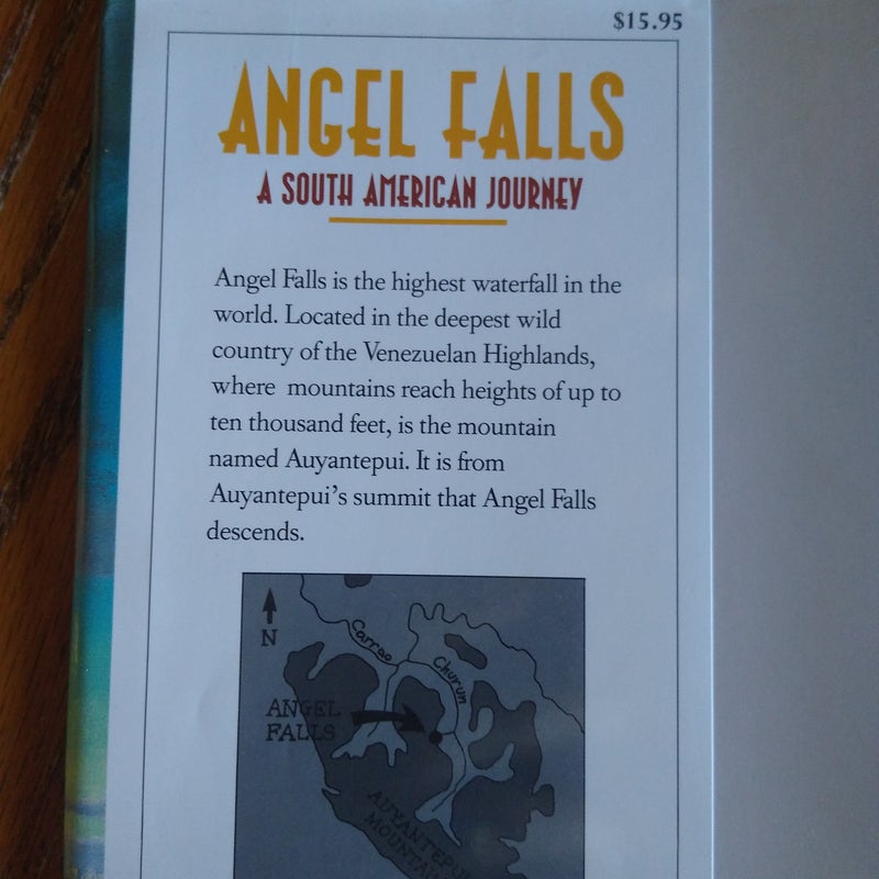 ⭐ Angel Falls