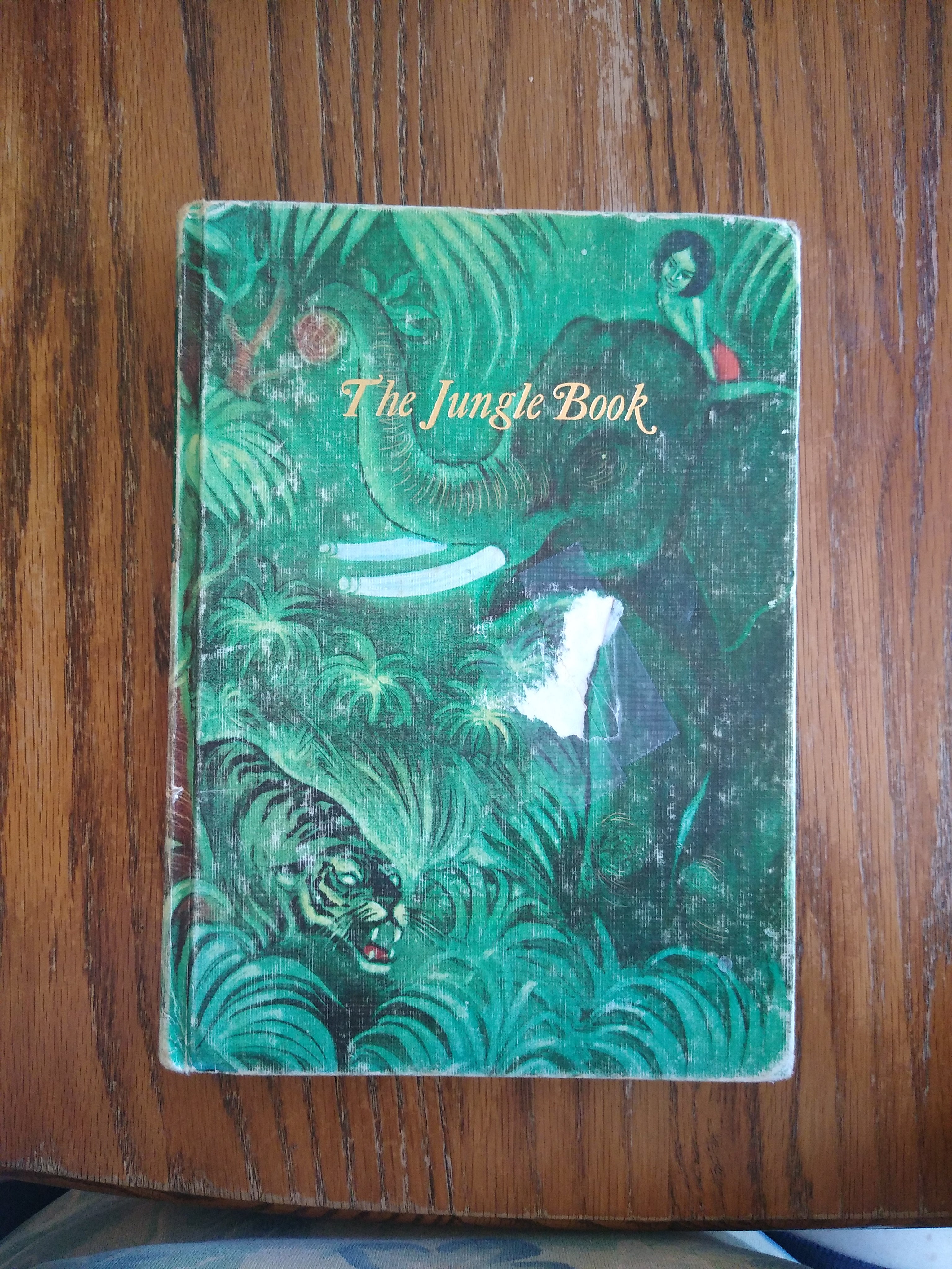 The Jungle Book I