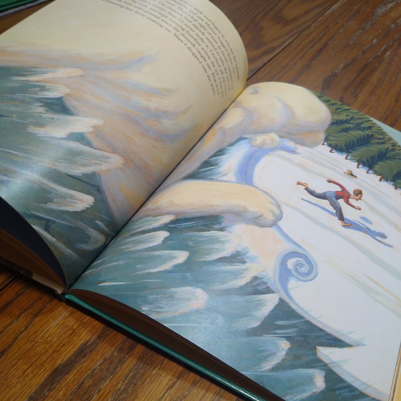 Chinook! by Michael O. Tunnell, Hardcover | Pangobooks