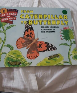 From Caterpillar to Butterfly