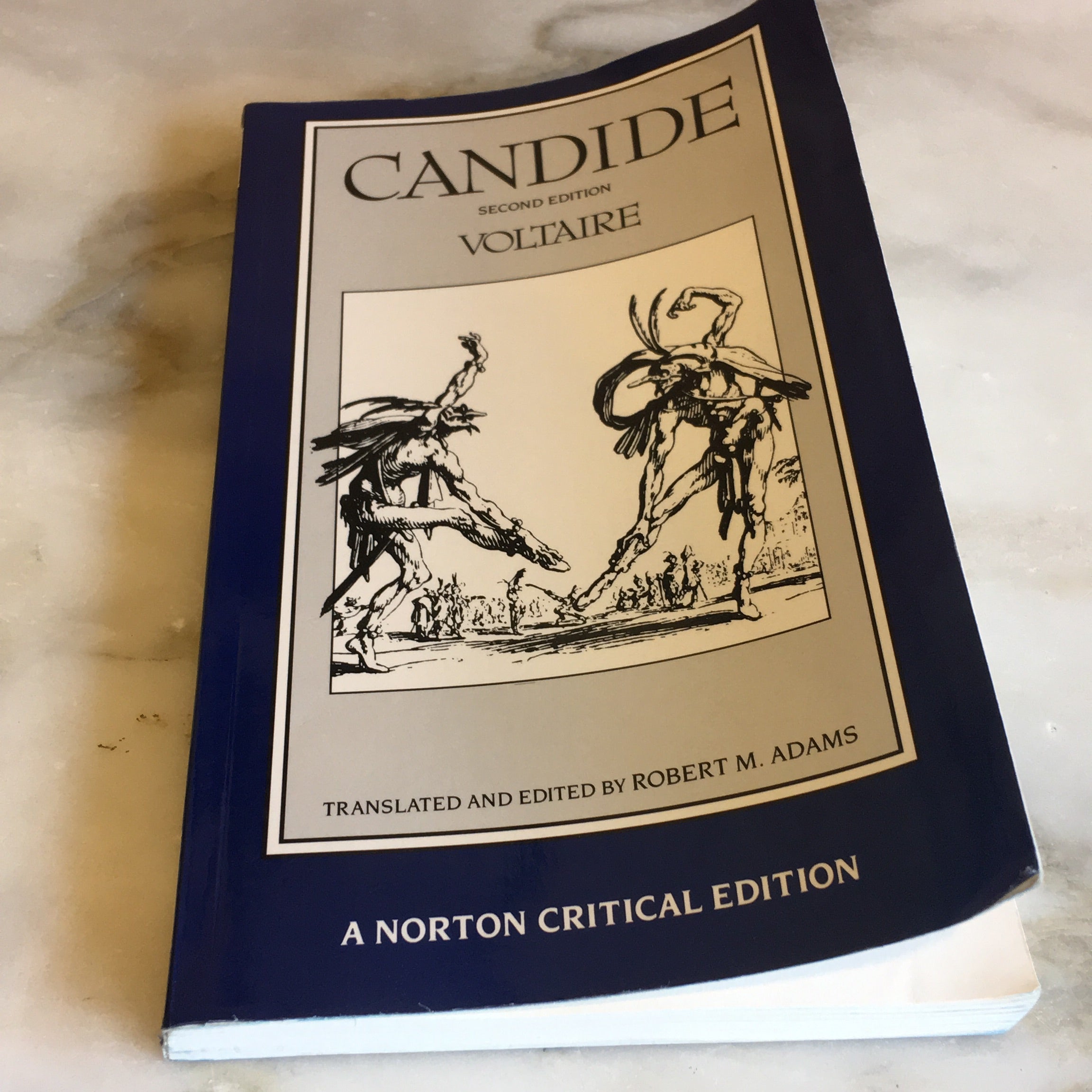 Candide or Optimism