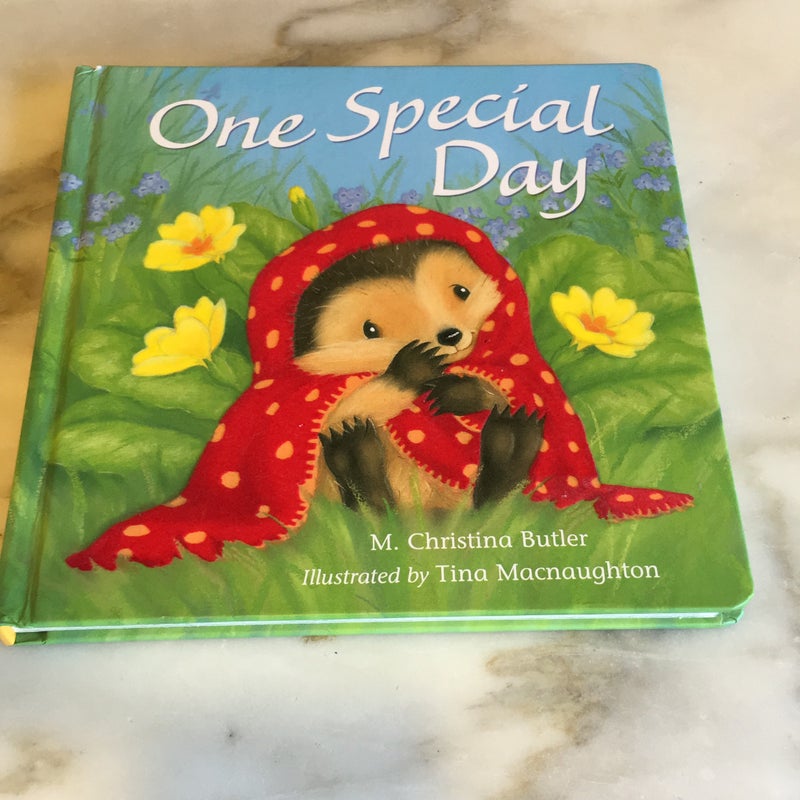 One Special Day