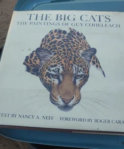 The Big Cats