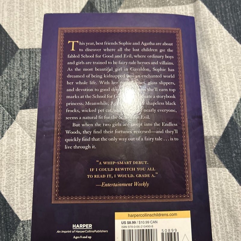 The School for Good and Evil Book 1