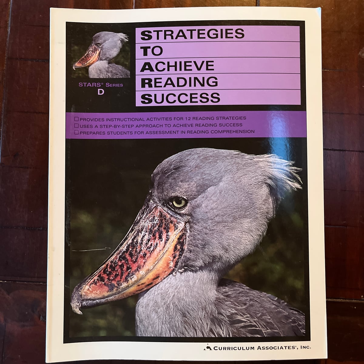 Strategies to Achieve Reading Success by Curriculum Associates Staff