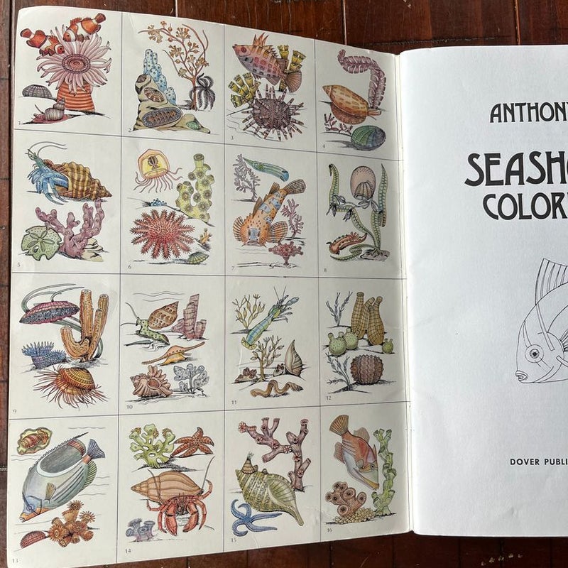 Seashore Life Coloring Book