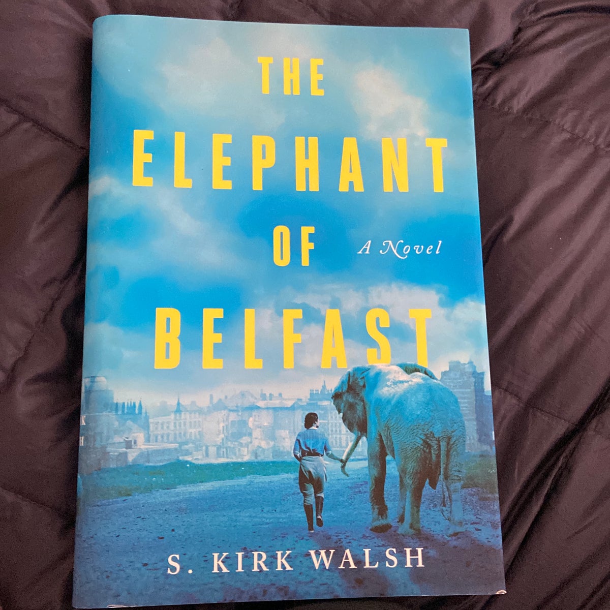 The Elephant of Belfast