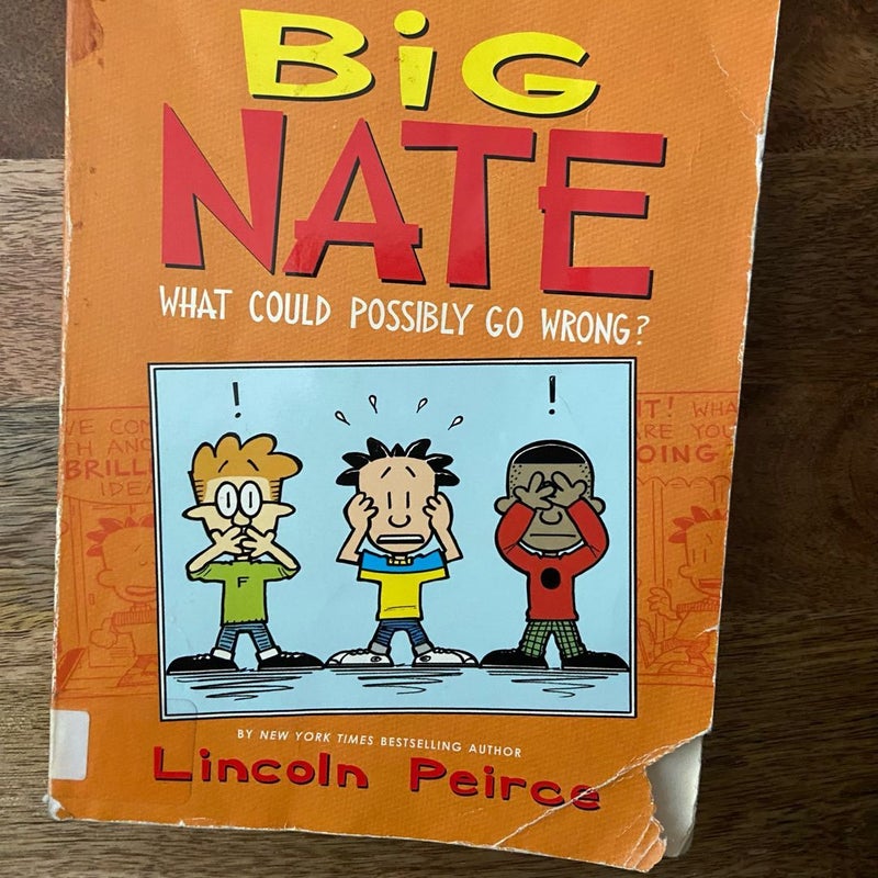 Big Nate Bundle