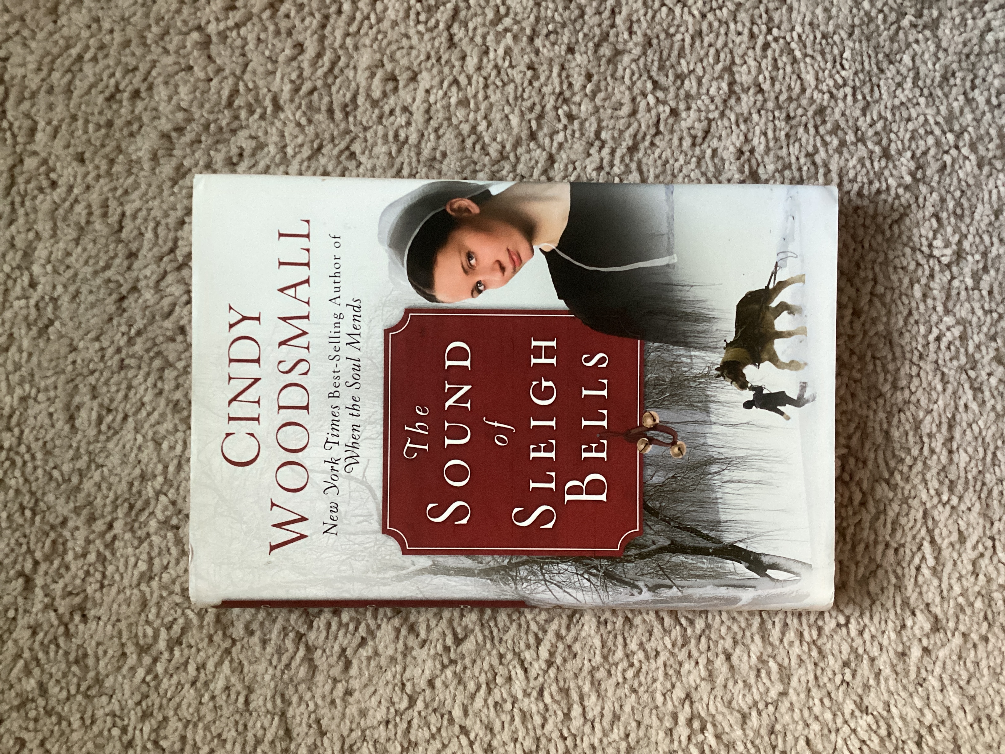 The Sound of Sleigh Bells