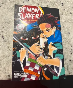 Demon Slayer: Kimetsu No Yaiba, Vol. 1