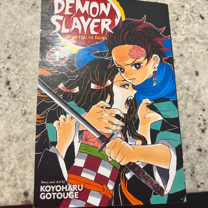 Demon Slayer: Kimetsu No Yaiba, Vol. 1