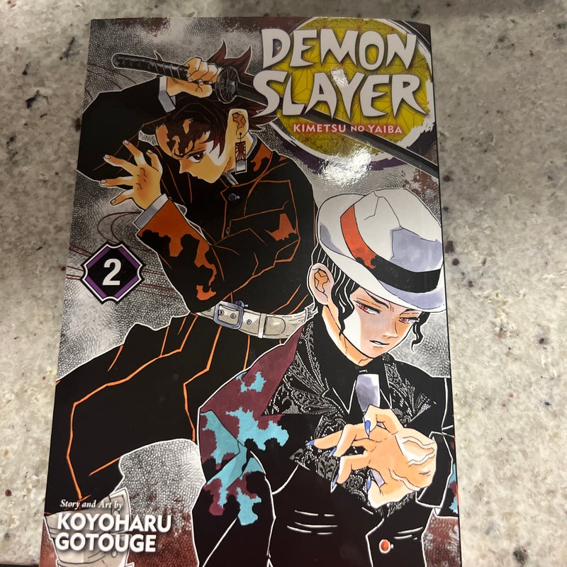 Demon Slayer: Kimetsu No Yaiba, Vol. 2