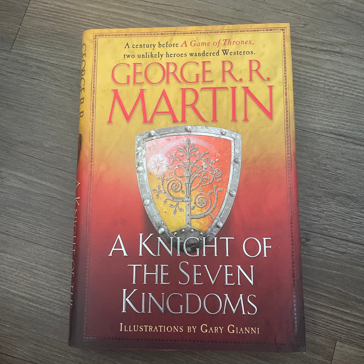 a knight of the seven kingdoms book 1