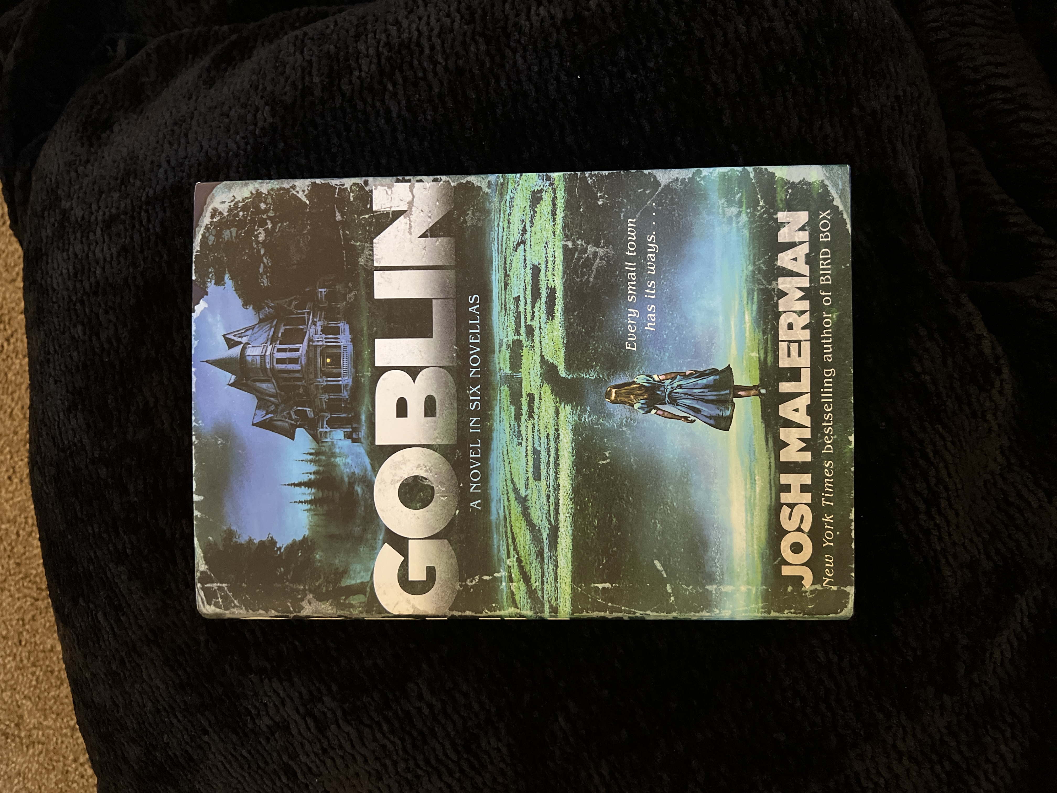 Goblin book cover