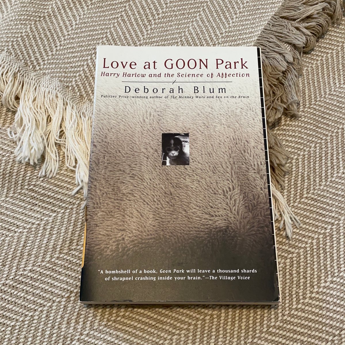 love-at-goon-park-by-deborah-blum-paperback-pangobooks